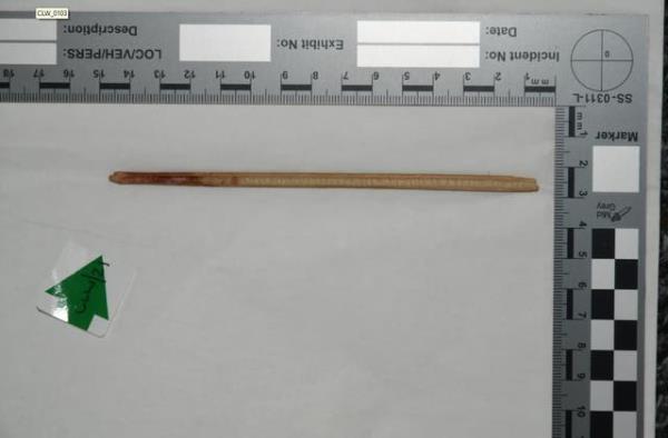 克里斯蒂娜·罗宾逊法庭案件